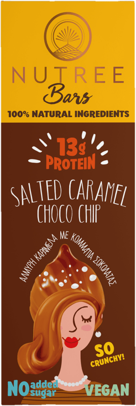 Nutree Raw Vegan Protein Bar Salted Caramel Choco Chip gluten free
