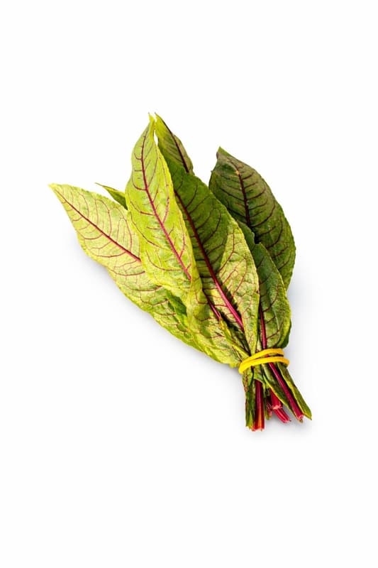 Nasu Rosu ECO Macris rosu