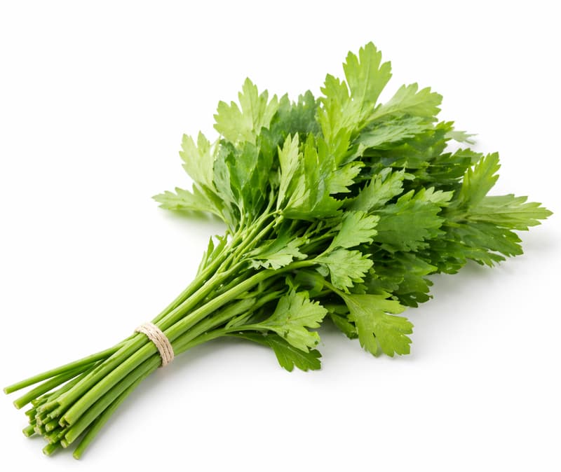 arai Farm (in ECO conversion) Fresh lovage link