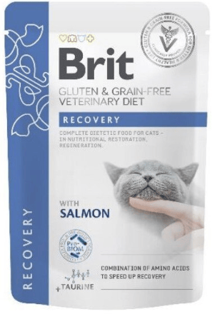 Brit Grain Free Recovery Hrana umeda pentru pisici, pentru recuperare, refacere nutritiva