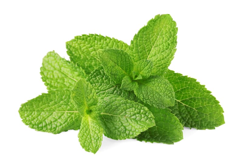 Bioferma Niculesti ECO Menta 50 Gr+