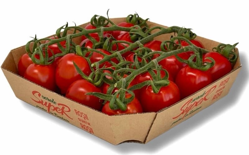 Rosii prunisoare pe ciorchine