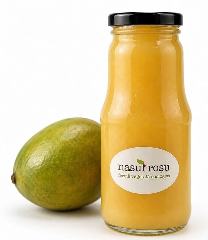Nasul Roșu Mango nectar no sugar