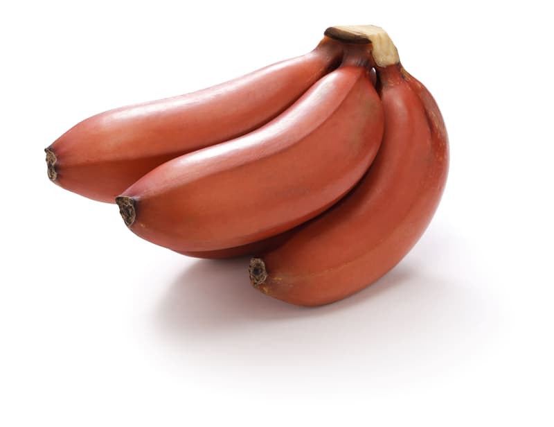 Ciorchine de banane rosii