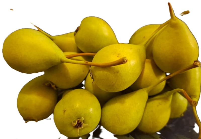 Livada cu Amintiri Pere Busuioace foarte mici
