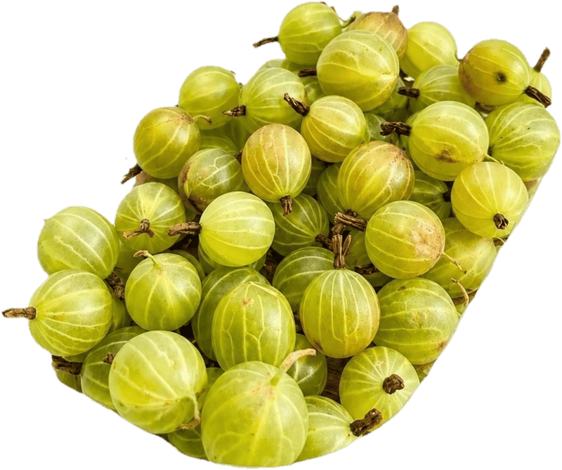 ECO Agrise