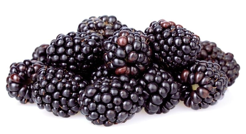 Blackberries casserole