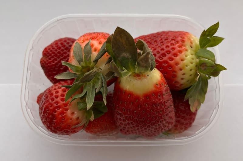 ECO Strawberries
