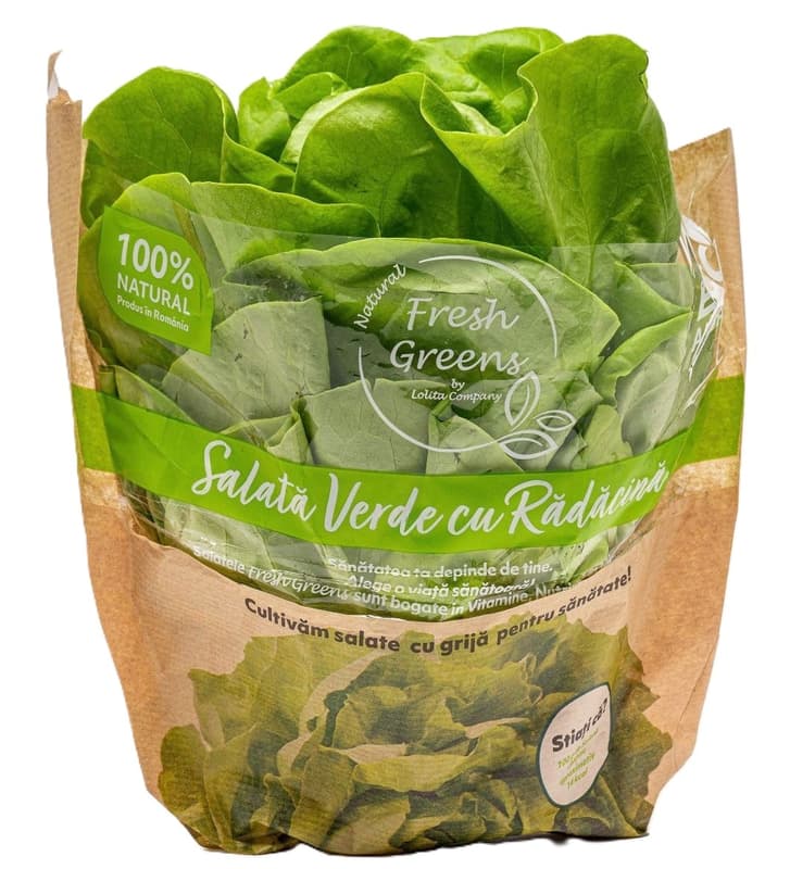 Ferma Lolita Green Lettuce with Root