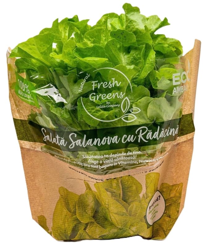 Ferma Lolita Salanova bionda cu radacina