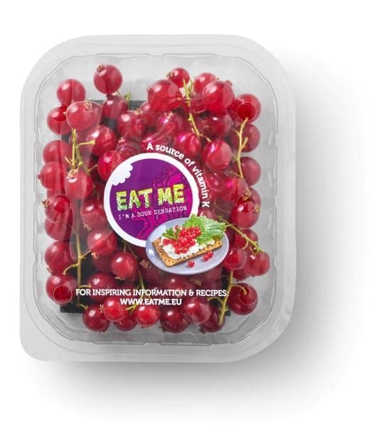 Coacaze rosii caserola