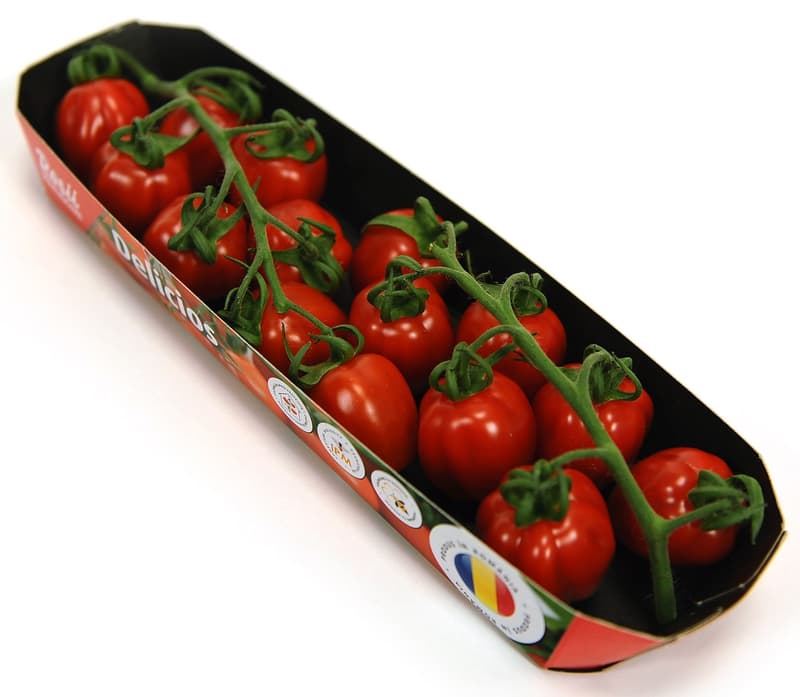 Rosii cherry SanMarzano