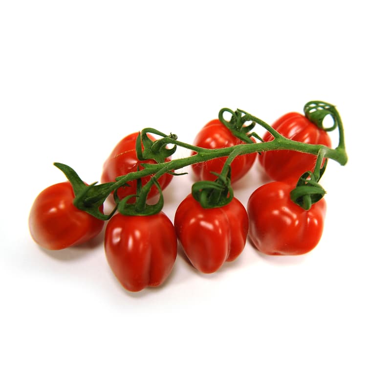 San Marzano Cherry Tomatoes Romanian bucket