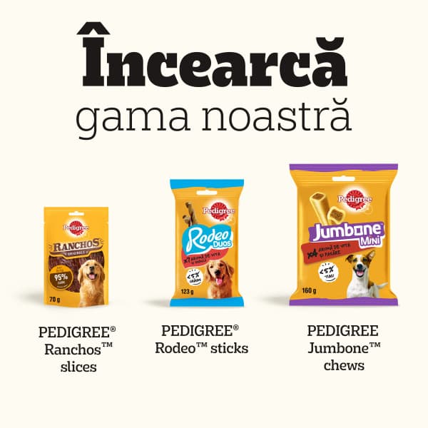 Pedigree Biscrok Original Hrana complementara pentru caini adulti