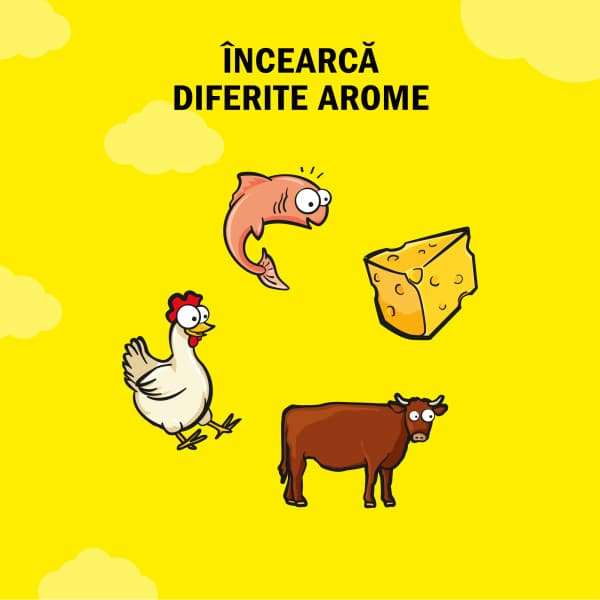 Dreamies Recompense pentru pisici, mix cu somon si branza