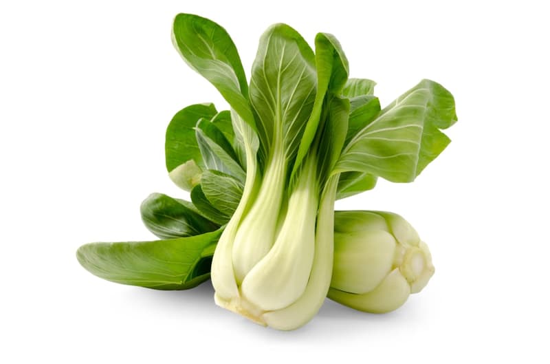 Pak Choi Lettuce
