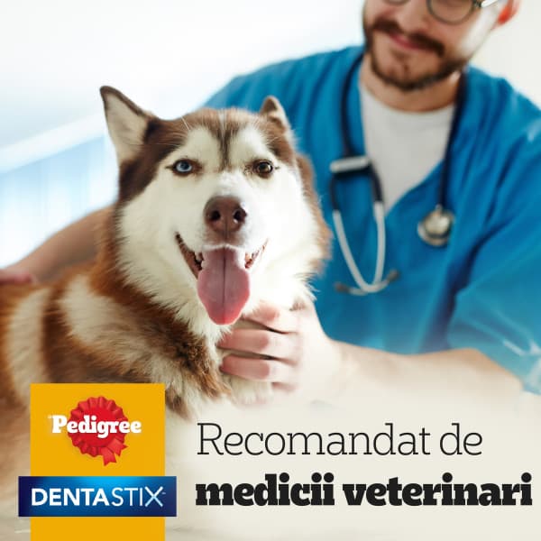 Pedigree DentaStix Batoane dentare pentru caini de talie mare