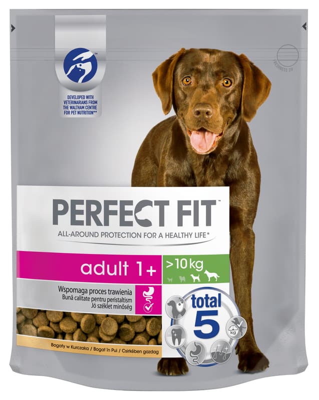 Perfect Fit Dry Food with Chicken for Adult Medium and Large Breed Dogs