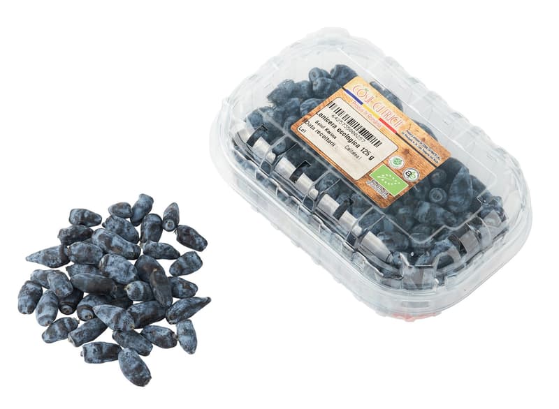 Cosul cu Fructe ECO Fruit Basket Lonicera Romania