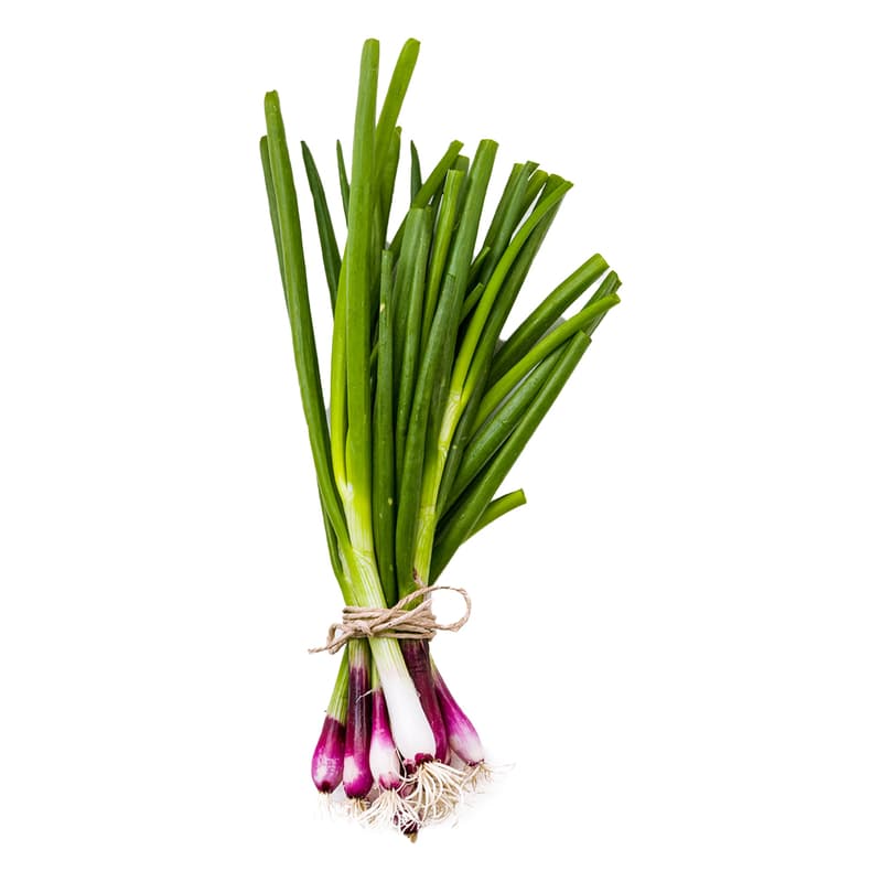 Ceapa rosie proaspata legatura