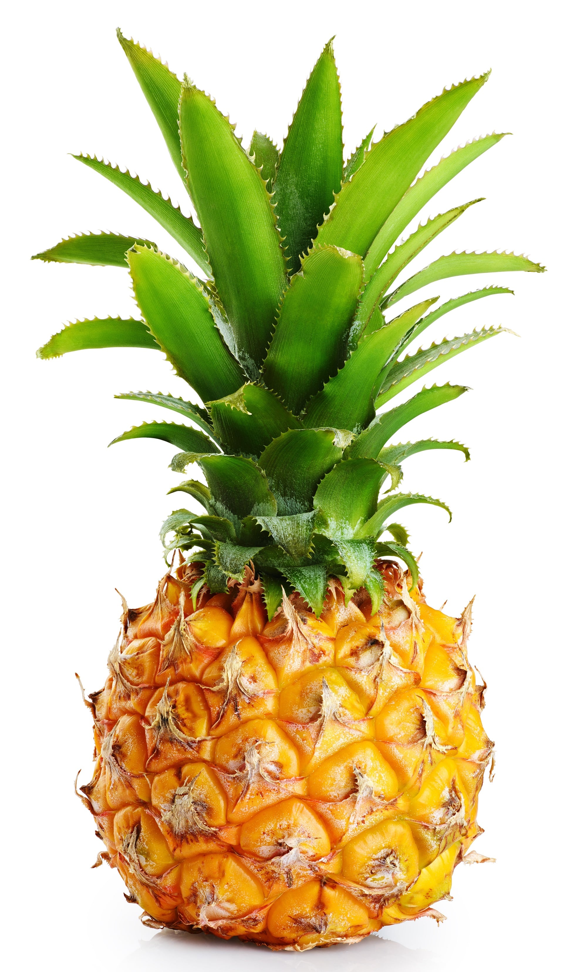 Ananas Gold
