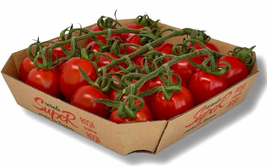 ECO Rosii cherry Piccadilly